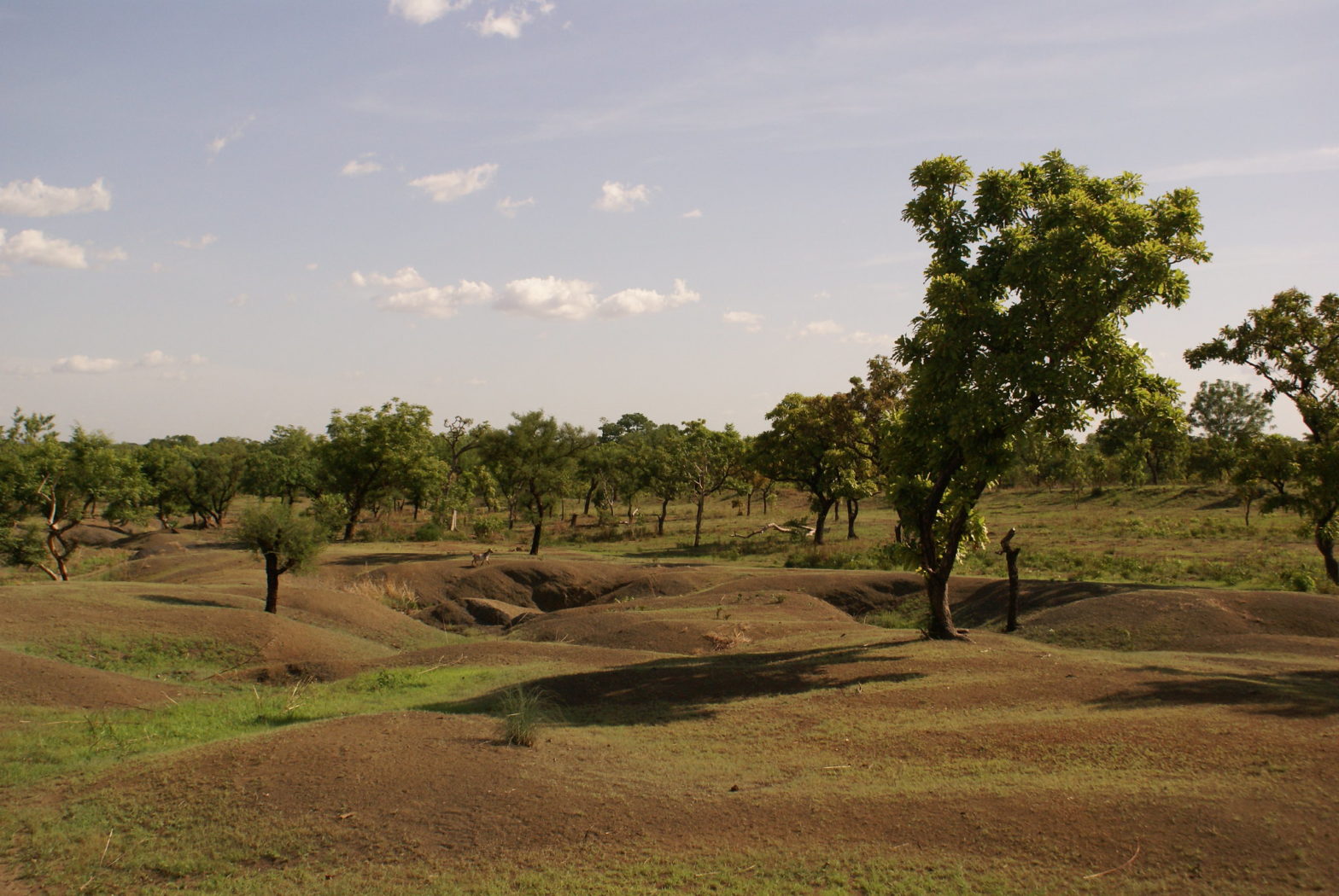 The view once you step out of the hospital compound in Togo