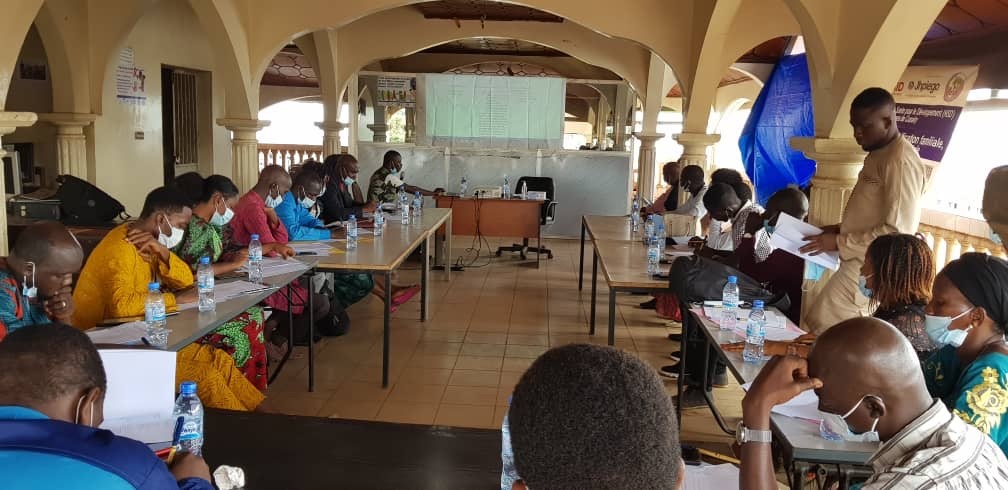 Workshop participants in Guinea discuss community health and civil society