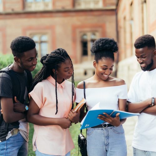 Group of young african people are studying together in university. Students outdoors.